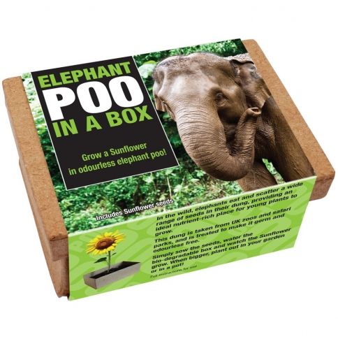 Animal Poo In a Box