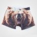 Grizzly Bear Underwear