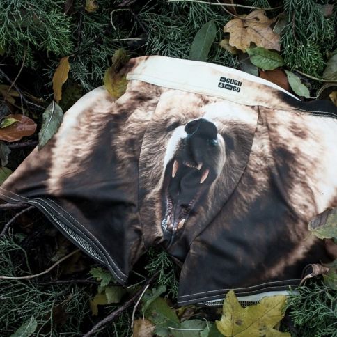 Grizzly Bear Underwear