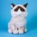 Grumpy Cat Plushie