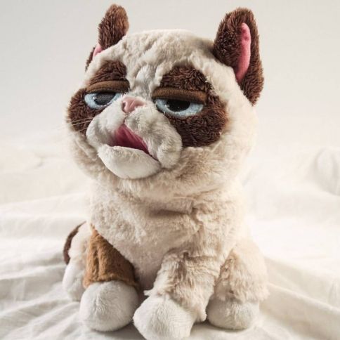 Grumpy Cat Puppet