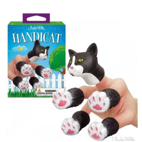 HandiCat