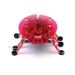 Hexbug Original