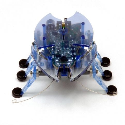 Hexbug Original