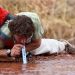 LifeStraw Juomaveden Puhdistaja