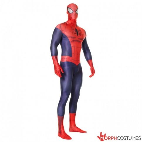 Spiderman Morphsuit