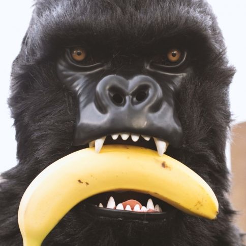 Mr. Gorilla Gorilla Mask