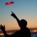 Nite Ize Flashflight Light-Up Flying Disc