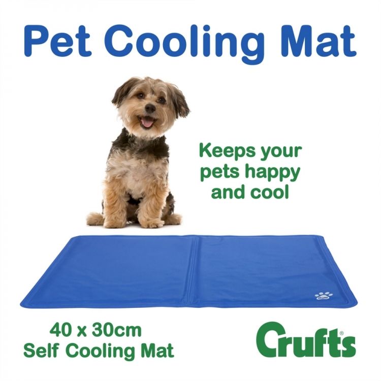 crufts pet cooling mat