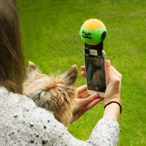 Pooch Selfie