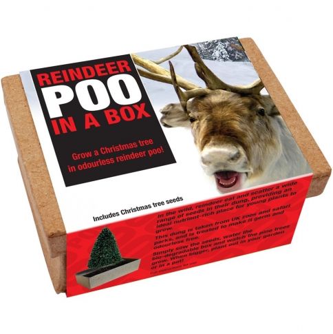 Animal Poo In a Box