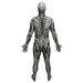 Skull & Bones Morphsuit