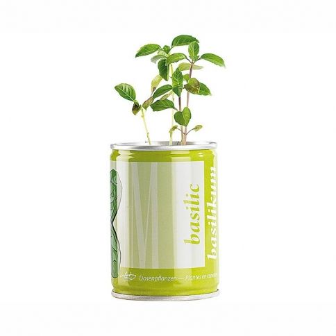 Plants in a Can