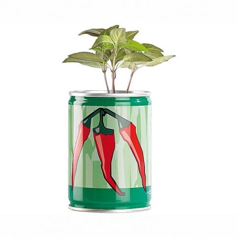 Plants in a Can